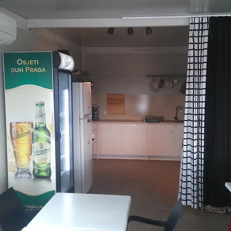 Hostel Dentex 4 You